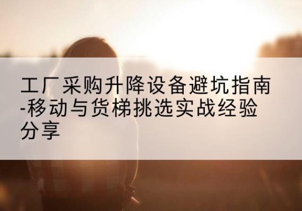 施甸移动式升降机怎么选-工厂采购升降设备避坑指南-移动与货梯挑选实战经验分享