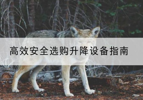 施甸升降货梯厂家推荐-*安全选购升降设备指南