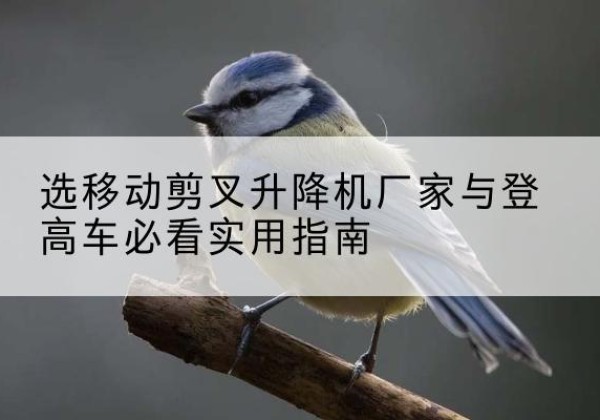 施甸电动升降机厂家-选移动剪叉升降机厂家与登高车必看实用指南
